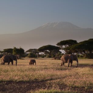 Amboseli National Park