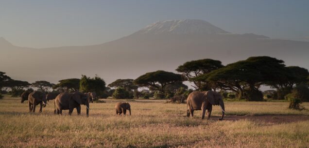 Amboseli National Park