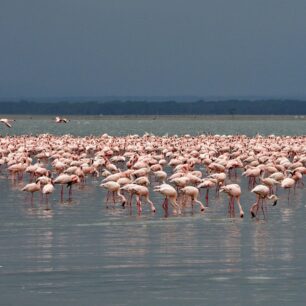 Lake Nakuru National Park