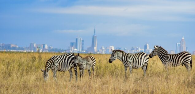 Nairobi